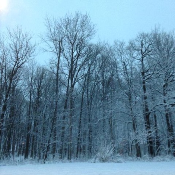 Meet your Posher, Guylaine - Picture 1 of 1